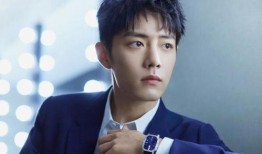 肖战圈内人爆料完整,揭秘明星幕后真相与心酸历程