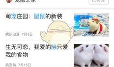 怎么爆料新闻公众号视频,公众号视频背后的真相