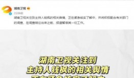 娱乐圈吃瓜帖子,揭秘明星背后的故事