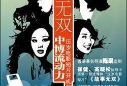 故事无双 在线观看,传奇特工的暗影征程