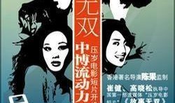 故事无双 在线观看,传奇特工的暗影征程