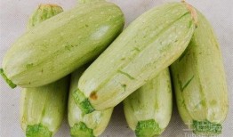 临沂吃生瓜网红叫什么来着,挑战味蕾极限，揭秘“生瓜哥”传奇故事
