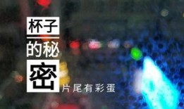 酒楼卫生爆料案例视频播放,视频揭示后厨卫生乱象
