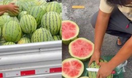 临沂吃生瓜网红叫什么来着,挑战味蕾极限，揭秘“生瓜哥”传奇故事