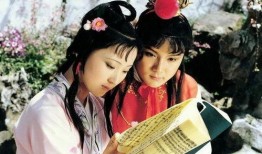 红楼梦伦理在线观看,揭秘贾府家族伦理纷争