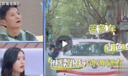 深夜明星爆料视频,明星隐私大揭秘，真相令人震惊！