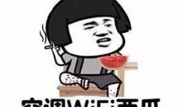 吃瓜qq孙免费,免费畅享娱乐盛宴的幕后故事