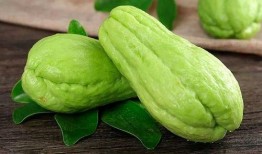 临沂吃生瓜网红叫什么来着,挑战味蕾极限，揭秘“生瓜哥”传奇故事