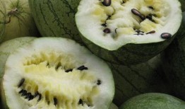 网红习惯吃瓜小灯笼,揭秘娱乐圈幕后故事