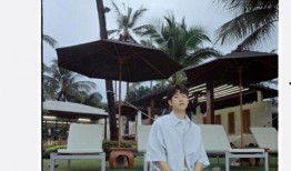 老吴椰树爆料视频,揭秘椰树背后的惊人真相