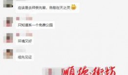 顺德爆料夫妇是谁啊最新消息,揭秘他们的婚姻现状与近期热点事件