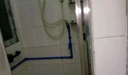 天河棠下最新爆料,揭秘神秘项目背后的惊人真相