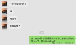 小红书新闻爆料,最新热点事件深度解析