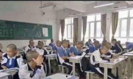 深圳学校最新爆料,最新爆料揭秘校园热点事件