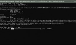 爆料各种黑科技视频下载,视频下载神器背后的秘密与挑战