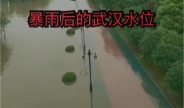 武汉江滩二桥最新爆料,最新爆料揭秘未来交通新地标