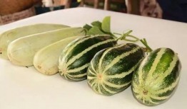 当代网红吃瓜累吗,揭秘幕后辛酸，揭秘网红生活真相