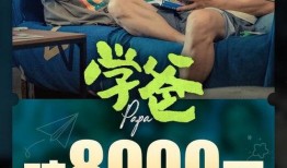 老汉爆料茶叶视频播放,揭秘茶叶视频背后的惊人真相