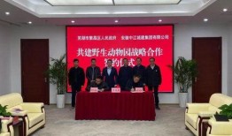 芜湖爆料记者是谁啊最新消息,揭秘幕后真相！”