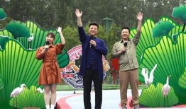 哈利最新爆料牛仔裤视频,牛仔裤背后的时尚秘密与潮流趋势