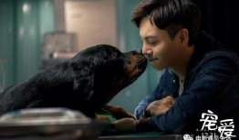 宠爱 电影在线观看,温情治愈，宠物与主人间的感人故事