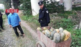 侯马吃瓜最新事件爆料是真的吗,最新爆料真相揭秘