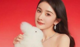 杨幂爆料娱乐圈事件,揭秘明星背后的真相与争议