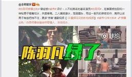 本溪王东鸿爆料视频,揭秘事件背后真相