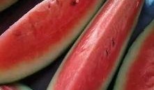 吃瓜免费扣11,扣11惊喜来袭！