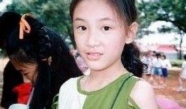 陈小春娱乐爆料视频大全,揭秘明星幕后故事