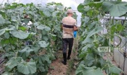 杭州网红打架吃瓜是谁啊,揭秘当事人身份及吃瓜群众热议