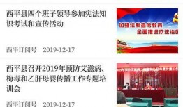 西平新闻爆料,揭秘当地热点事件，追踪社会动态