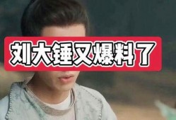 刘大锤爆料苏醒视频大全,苏醒视频大全幕后真相大曝光