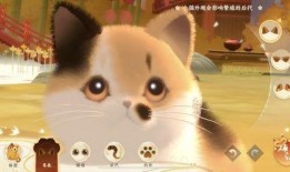 娱乐吃瓜喵不务正业版,揭秘明星不务正业背后的秘密