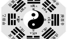 911八卦最新爆料图片,最新爆料图片曝光，惊人内幕一触即发！