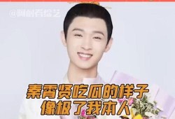 娱乐吃瓜秦霄贤,娱乐吃瓜界的风云人物