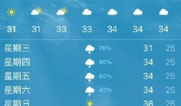 杭州气温最新爆料,春日暖阳与寒潮交替，最新天气状况速览