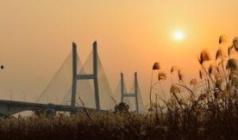 武汉江滩二桥最新爆料,最新爆料揭秘未来交通新地标