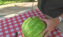 娱乐吃瓜方式,明星们的“吃瓜”日常