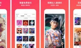 四平网友爆料今日头条视频,今日头条视频揭示惊人内幕