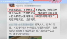 最新爆料珍爱生命视频,揭秘最新爆料视频背后的感人故事