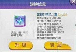 新风之翼爆料视频下载,下载背后的秘密与影响