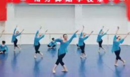 南方舞蹈学校爆料视频,舞蹈界幕后风云