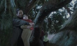 透光的树 在线观看,探寻自然之美