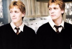 小李子做餐饮爆料视频大全,餐饮行业爆料视频大全