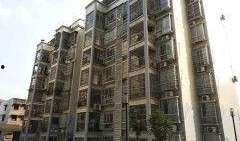 翠英花园最新爆料,揭秘神秘豪宅背后的故事