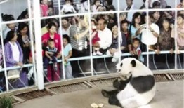 天津动物园爆料视频大全,揭秘动物日常与趣事瞬间