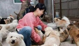 流浪狗收养中心爆料视频,感人瞬间见证生命救赎
