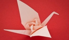 千纸鹤最新爆料视频下载,精彩瞬间一网打尽