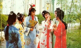 红楼梦伦理在线观看,揭秘贾府家族伦理纷争